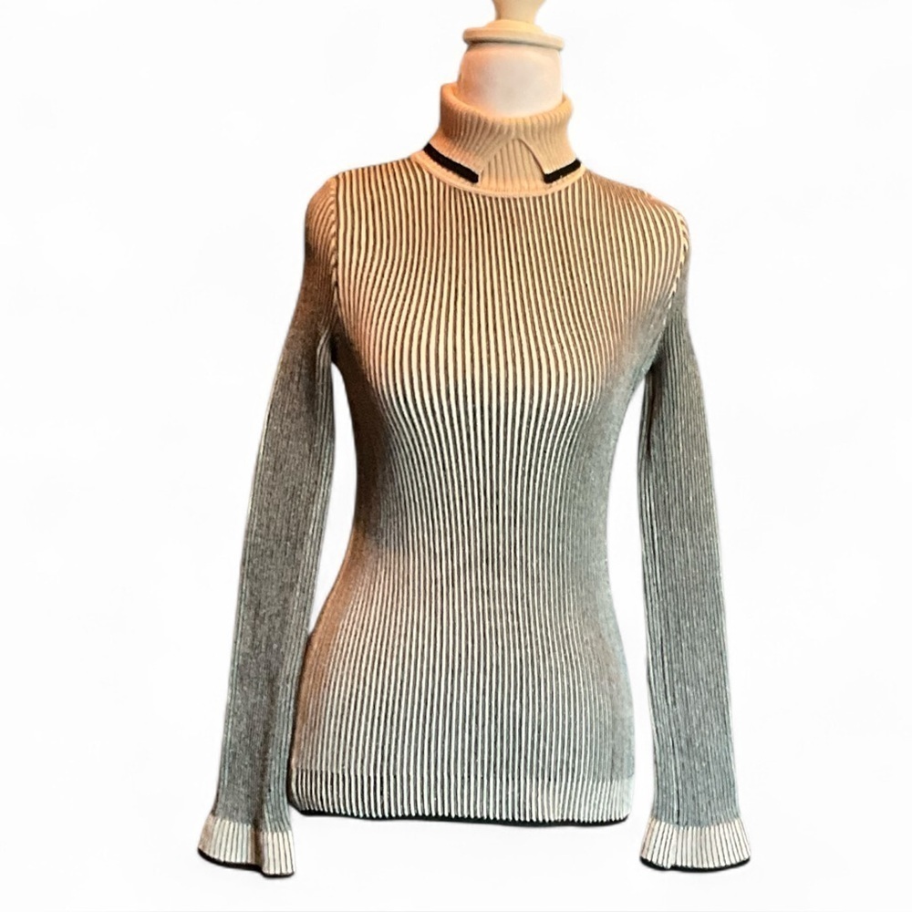 Marco de Vincenzo Striped Turtleneck with Metallic